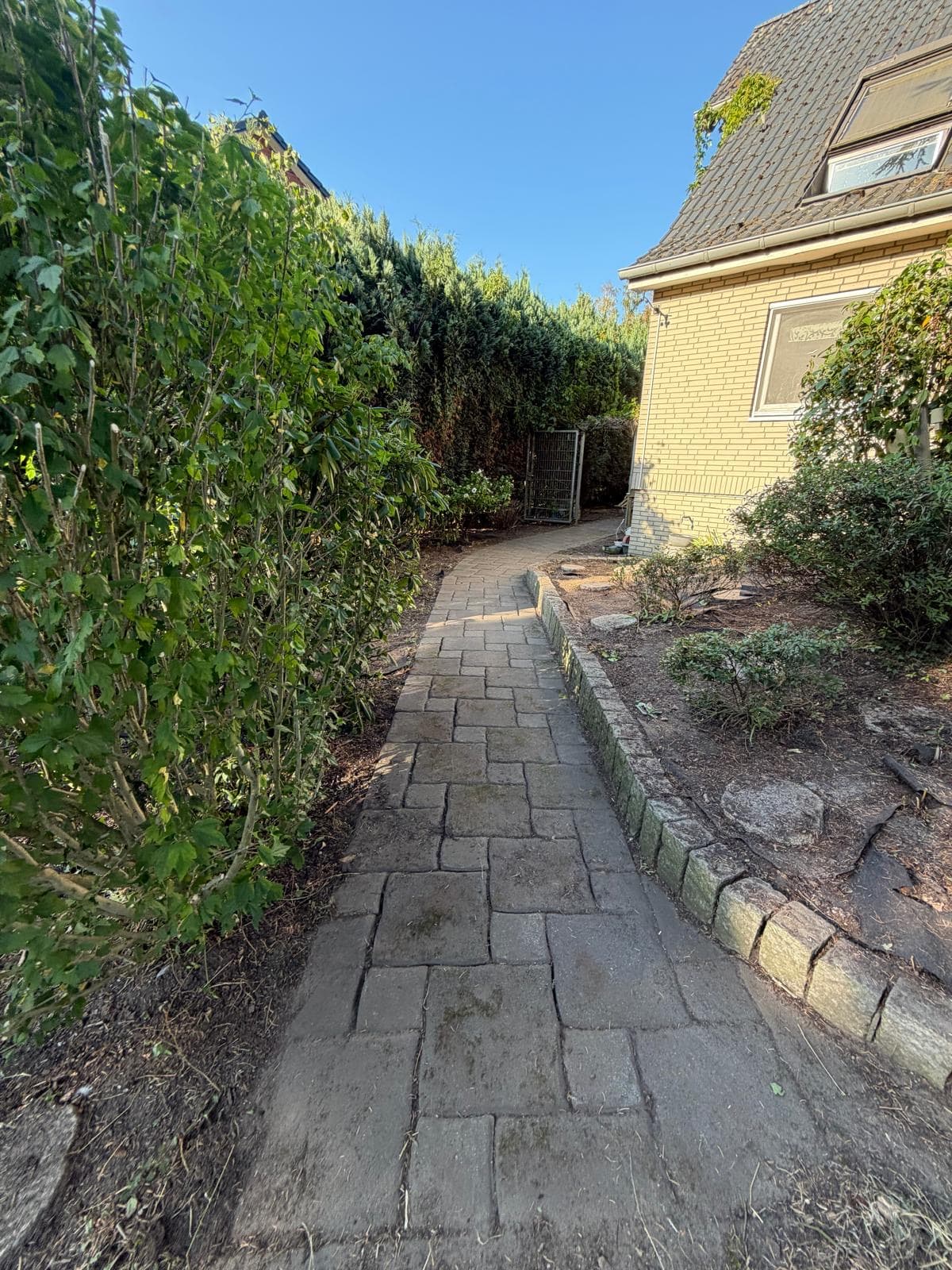 Garten mit klarer Struktur nachher