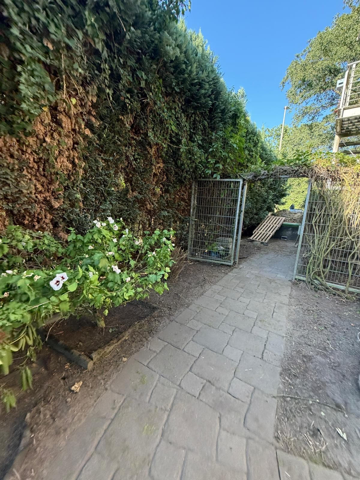 Terrasse und Hof in neuem Glanz nachher